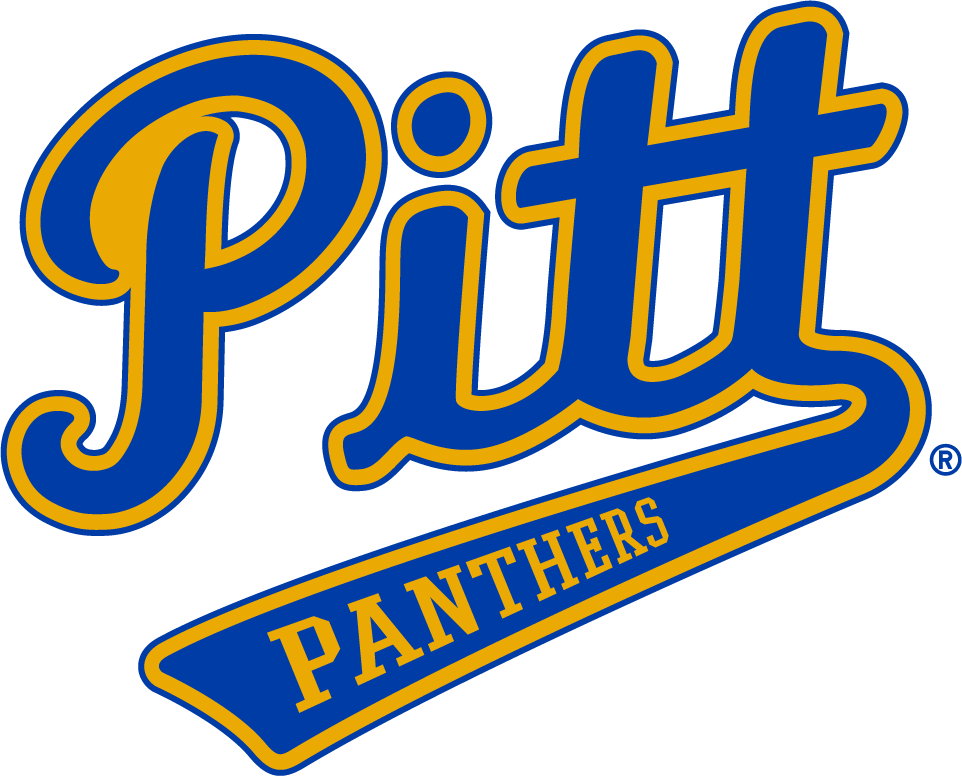 Pittsburgh Panthers 1970-1987 Alternate Logo diy iron on heat transfer